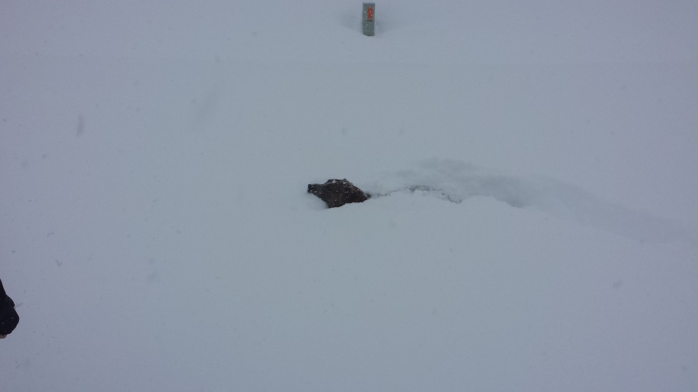 snow_february9